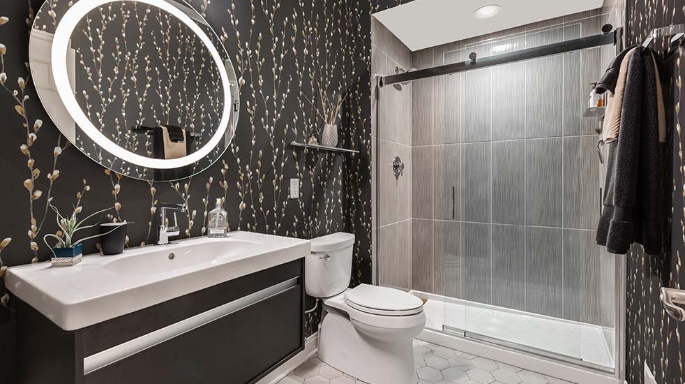 Sleek Bathroom in Mequon